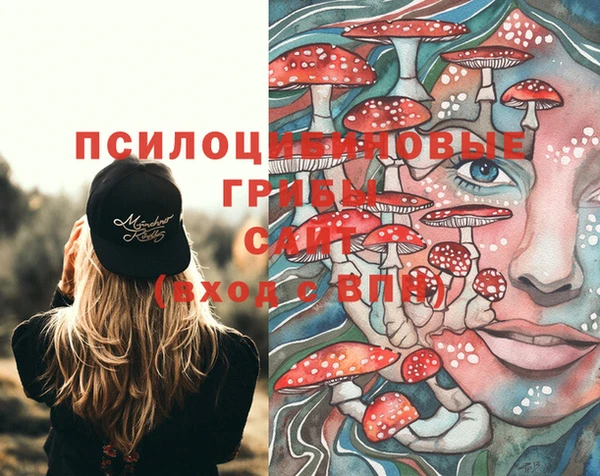 spice Краснотурьинск
